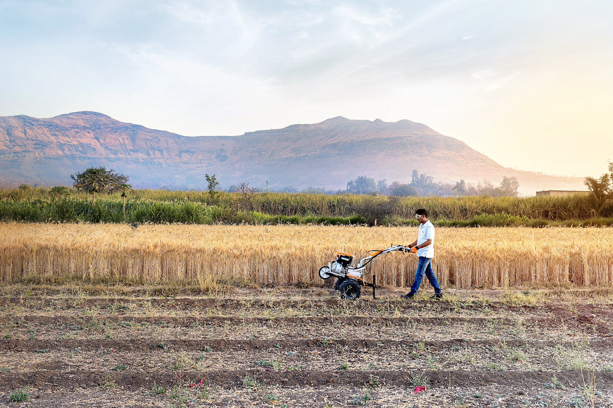 Un sol fertile pour STIHL