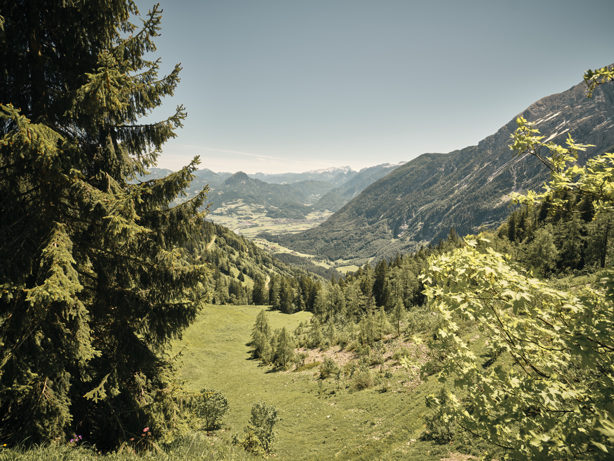 Rapport de développement durable 2021