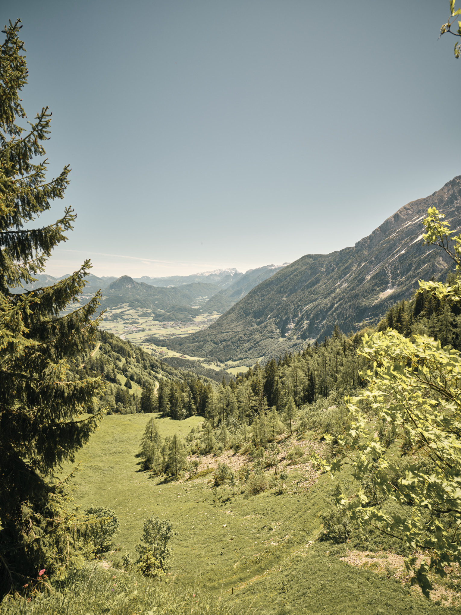 rapport stihl sur le développement durable