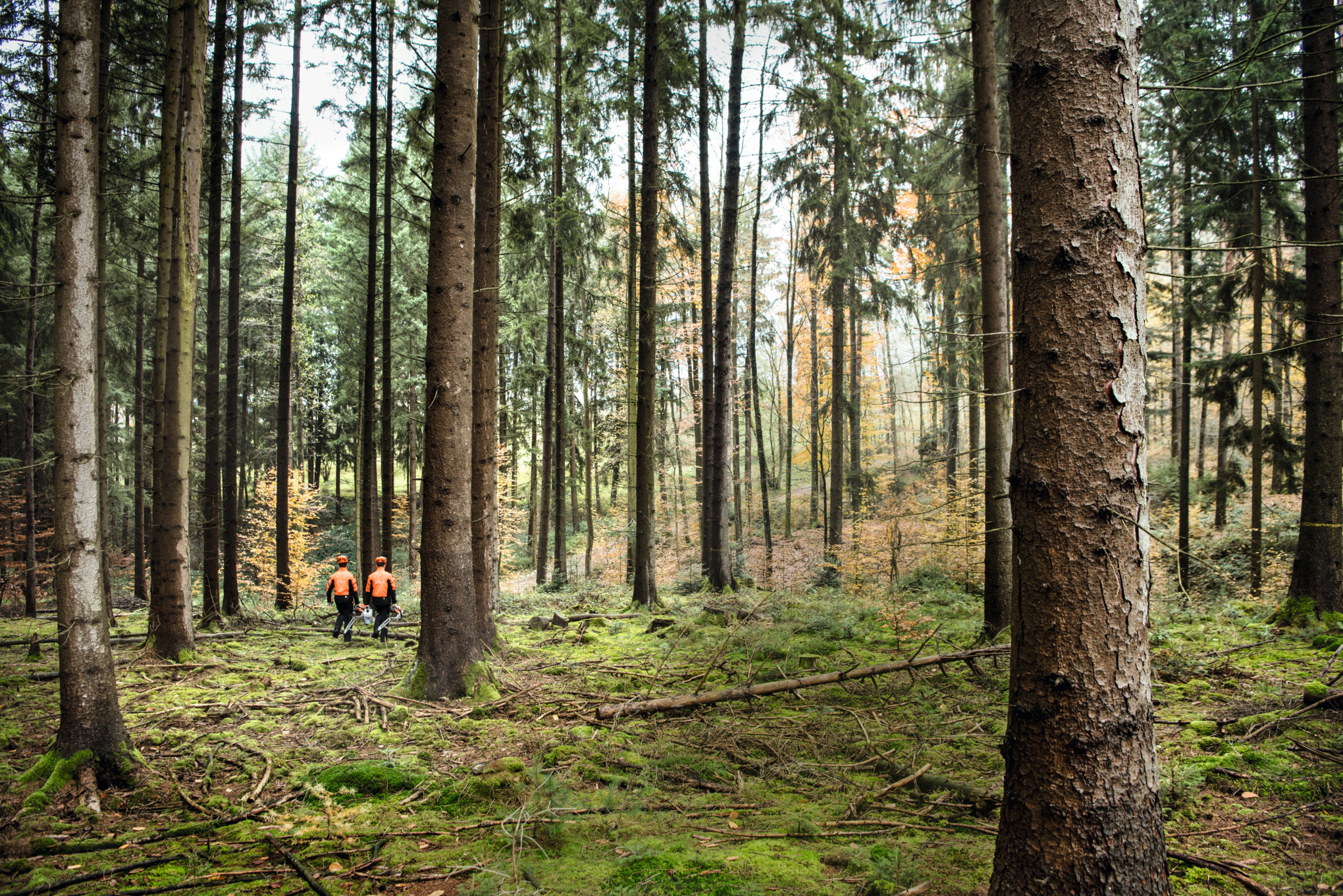 L’entreprise STIHL
