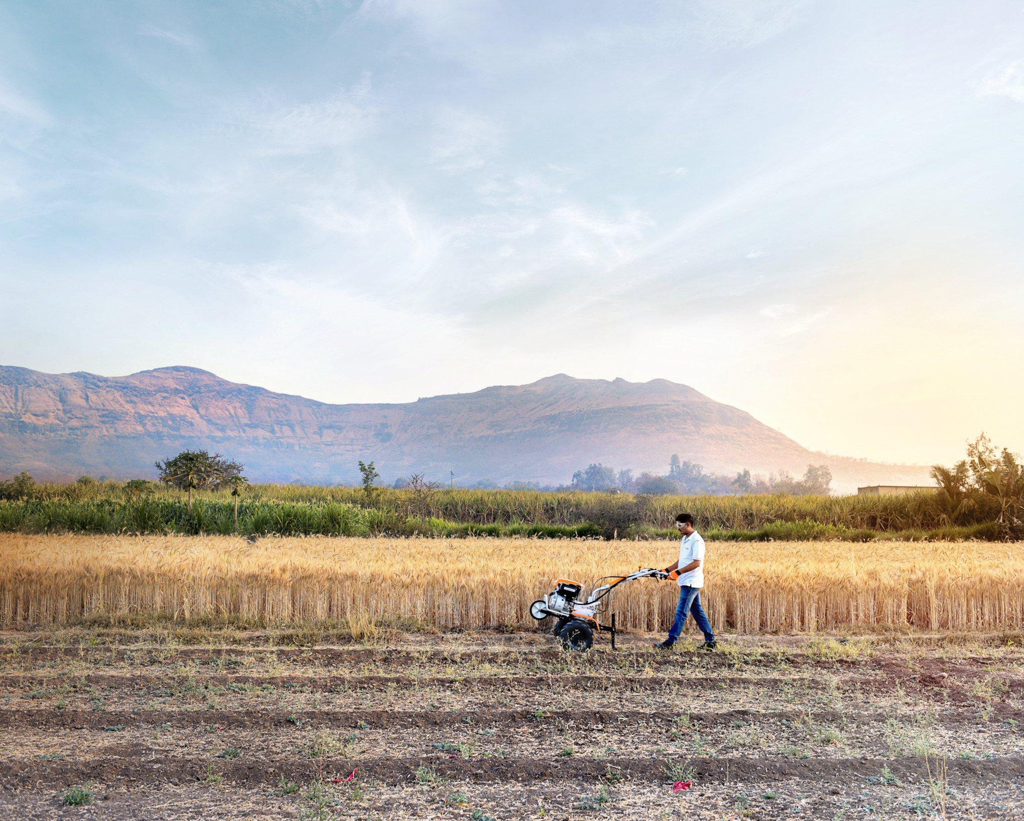 Sociétés de distribution de STIHL en Asie