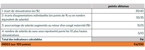 Tableau des scores pour témoigner de l'engagement de STIHL France en faveur de l'égalité professionnelle entre les hommes et les femmes